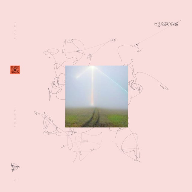last dolphin album art
