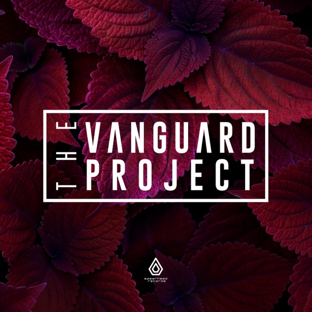 Gentle album art