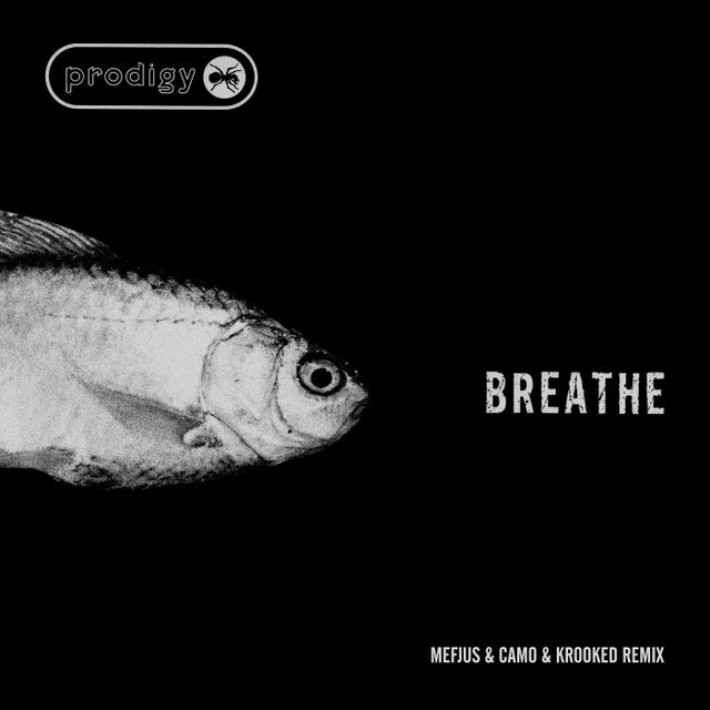 Breathe - Mefjus & Camo & Krooked Remix album art