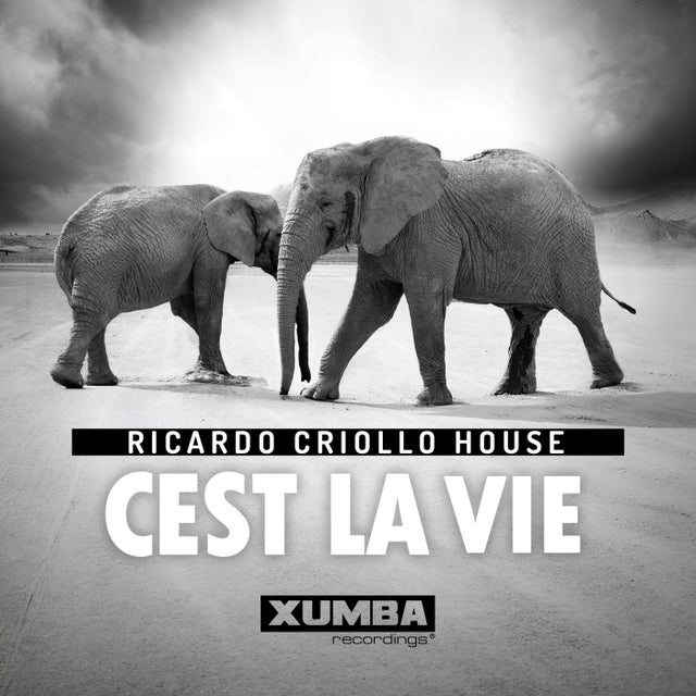 Cest La Vie - Extended Mix album art