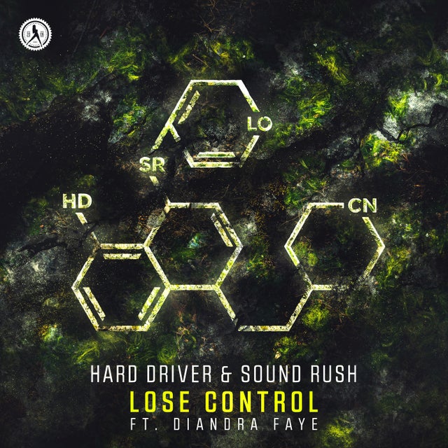Lose Control feat. Diandra Faye - Extended Mix album art
