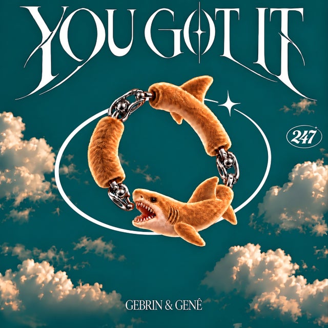 You Got It album art