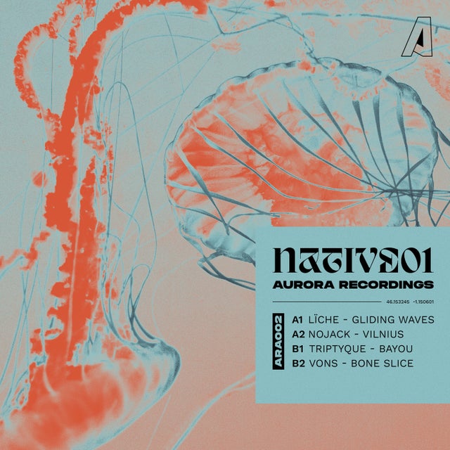 Vilnius album art