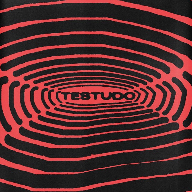 Testudo album art