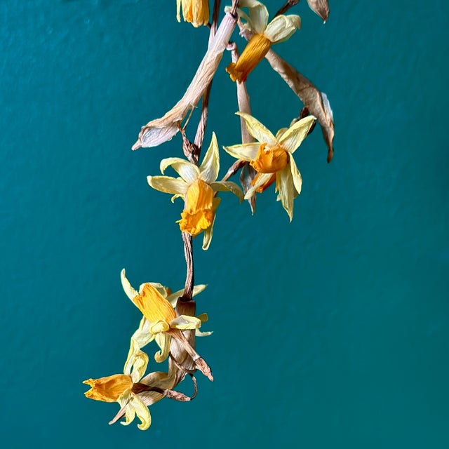 All The Flowers Are Dead album art