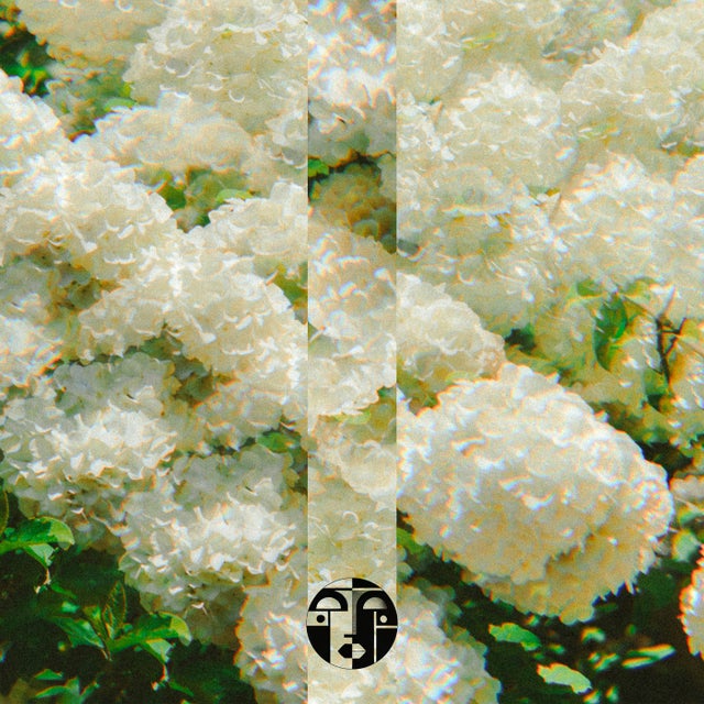 Ghosts From Another Universe album art