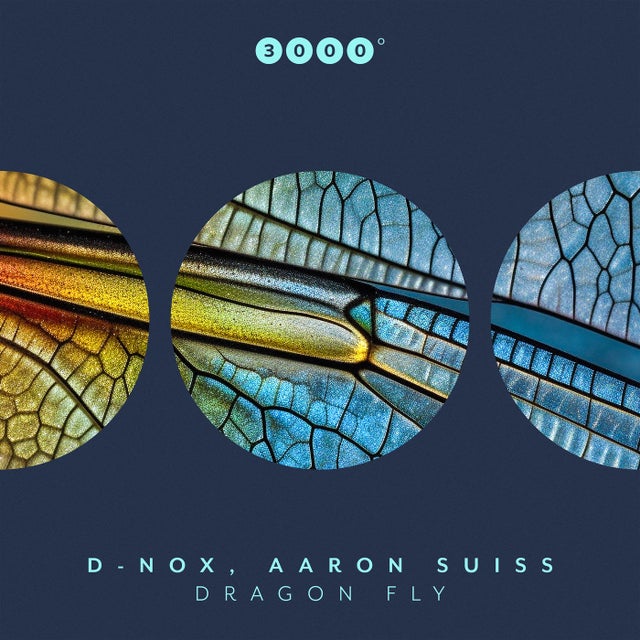 Dragon Fly album art
