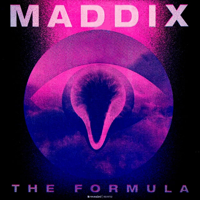The Formula - Extended Mix album art