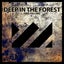 Deep In The Forest - Extended Mix