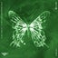 Fringe - Extended Mix