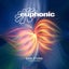 Crescendo - DJ Version