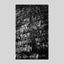 Latent Heat
