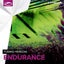 Endurance - Extended Mix
