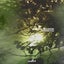 Morning Fog - Extended Mix