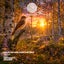 Magma - COQUEIT Extended Mix
