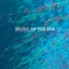 The Secret At the Bottom of the Ocean