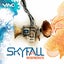 Network - Skyfall Remix