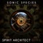 Dawn Till Dusk - Spirit Architect Remix