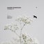 Inanimate Nature