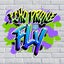 Fly