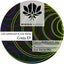 Crazy - Cari Lekebusch Mix