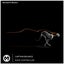 Rave Controller - Extended Mix