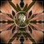 YALITZA - Anton Ishutin Extended Remix