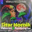 Sitar Hornik - Pulsarion & Perrey Carter Remix