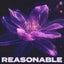 Reasonable (feat. Reo Cragun) - Extended Mix