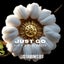 Just Go