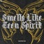 Smells Like Teen Spirit