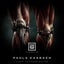 Mad Toilet - Berba PT & PETDuo Remix