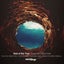 Down the Rabbit Hole