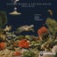 Deep Blue - Lavo Remix