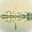 A Journey Through The Pantanal (Full Journey)