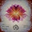 Vireo - Elias Dore Remix