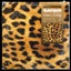 Safari - Extended Mix