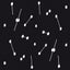 Dance Of A Trillion Stars