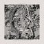 Frosted