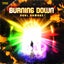 Burning Down - Pro Mix