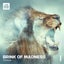 Brink Of Madness - Extended Mix