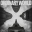 Ordinary World