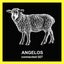 Black Sheep