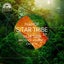 Sitar Tribe - Orginal Mix