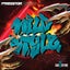 Wild Stylz (Painbringer Remix)