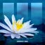 White Lotus - Extended Mix