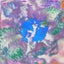 druzy@ - Scuba's Bassdrive Refix