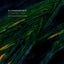 Into the Distance - Andrea Zapata Remix
