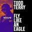 Fly Like an Eagle - Extended Mix