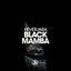 Black Mamba